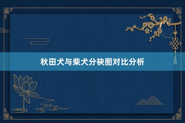 秋田犬与柴犬分袂图对比分析